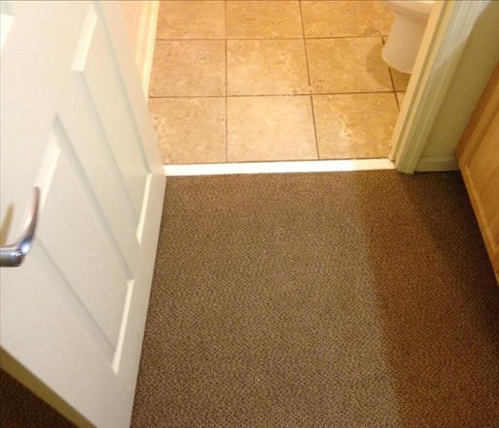 Cleaned Tile Flood and Carpeting