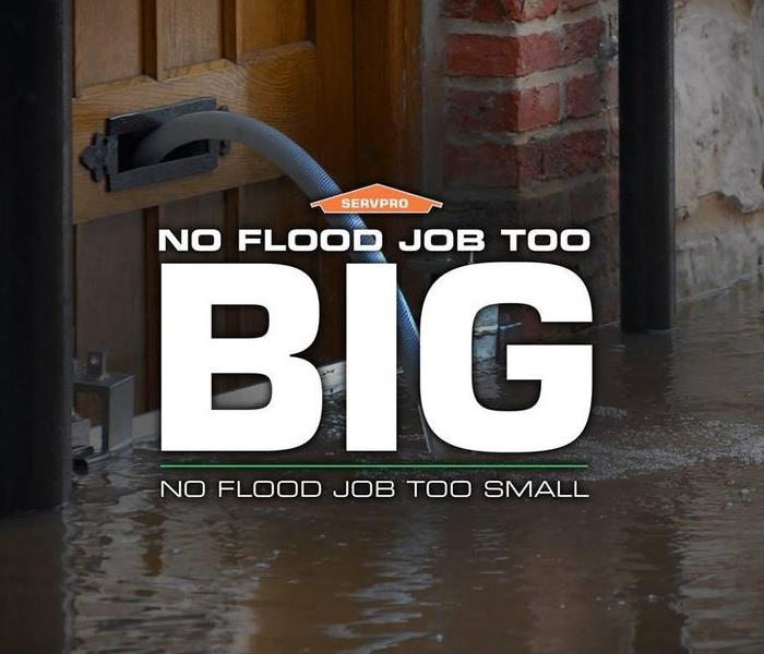 No Flood Job too Big, No Flood Job Too Small